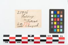 Etikett zu Bronzeperle (NHMW-PRAE-025996)